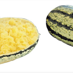 untitledئ                     prod me