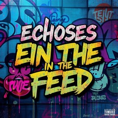 Echoes in the Feed