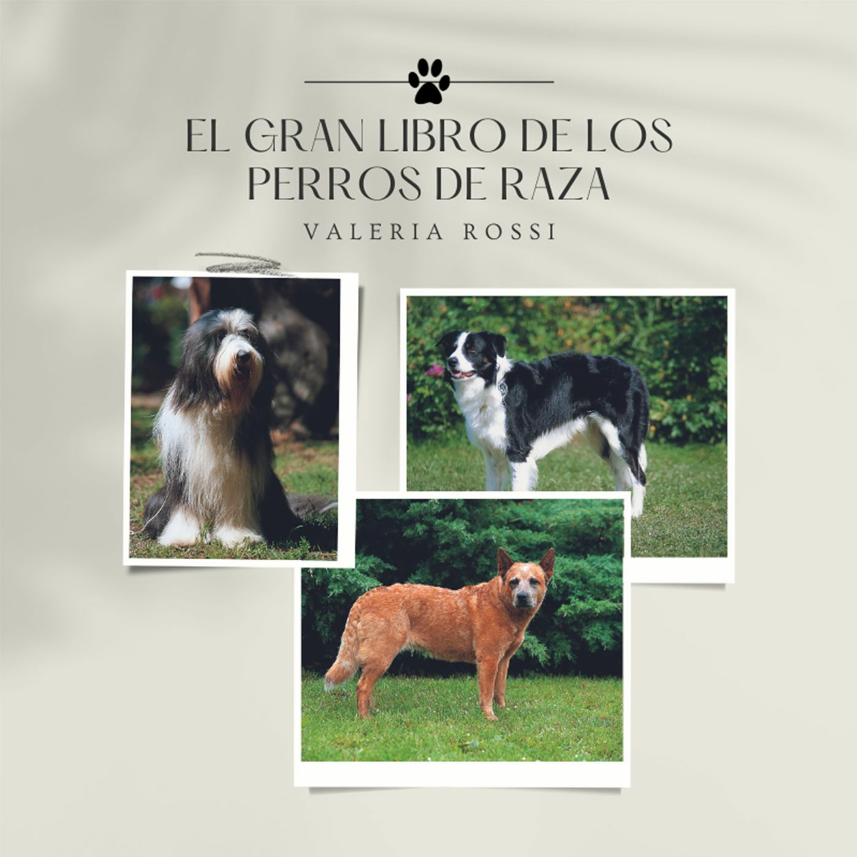 Devecchi Ediciones
