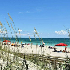 Best Things To Do In Atlantic Beach Nc Tours Reviews
