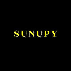 Playlist (Electronic House -15)