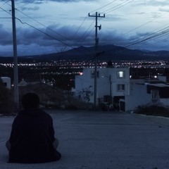 A donde se fueron mis amores