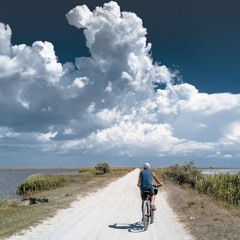 Long Road Ahead (2023) Anthology CD4 Track 04