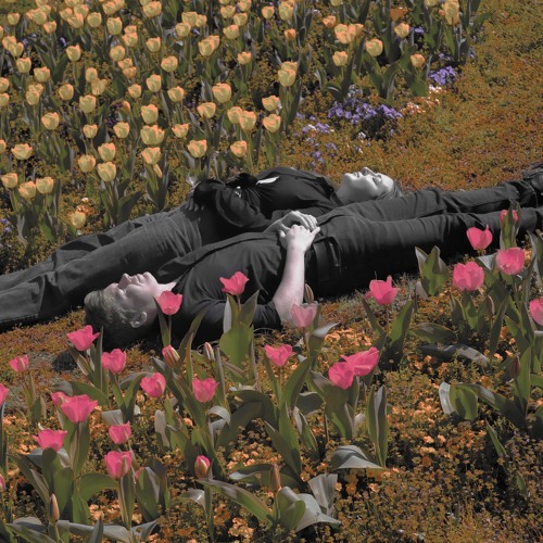 No Sleep - Jaydedd & bridget