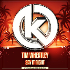 Tim Wheatley - Say It Right [Sample]