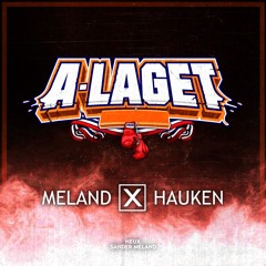 A-LAGET 2020 - Meland x Hauken