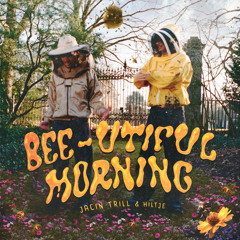 Bee-utiful Morning (feat. Hiltje)