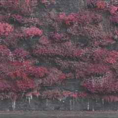 Sleep Token - Even in Arcadia Album (Lofi)