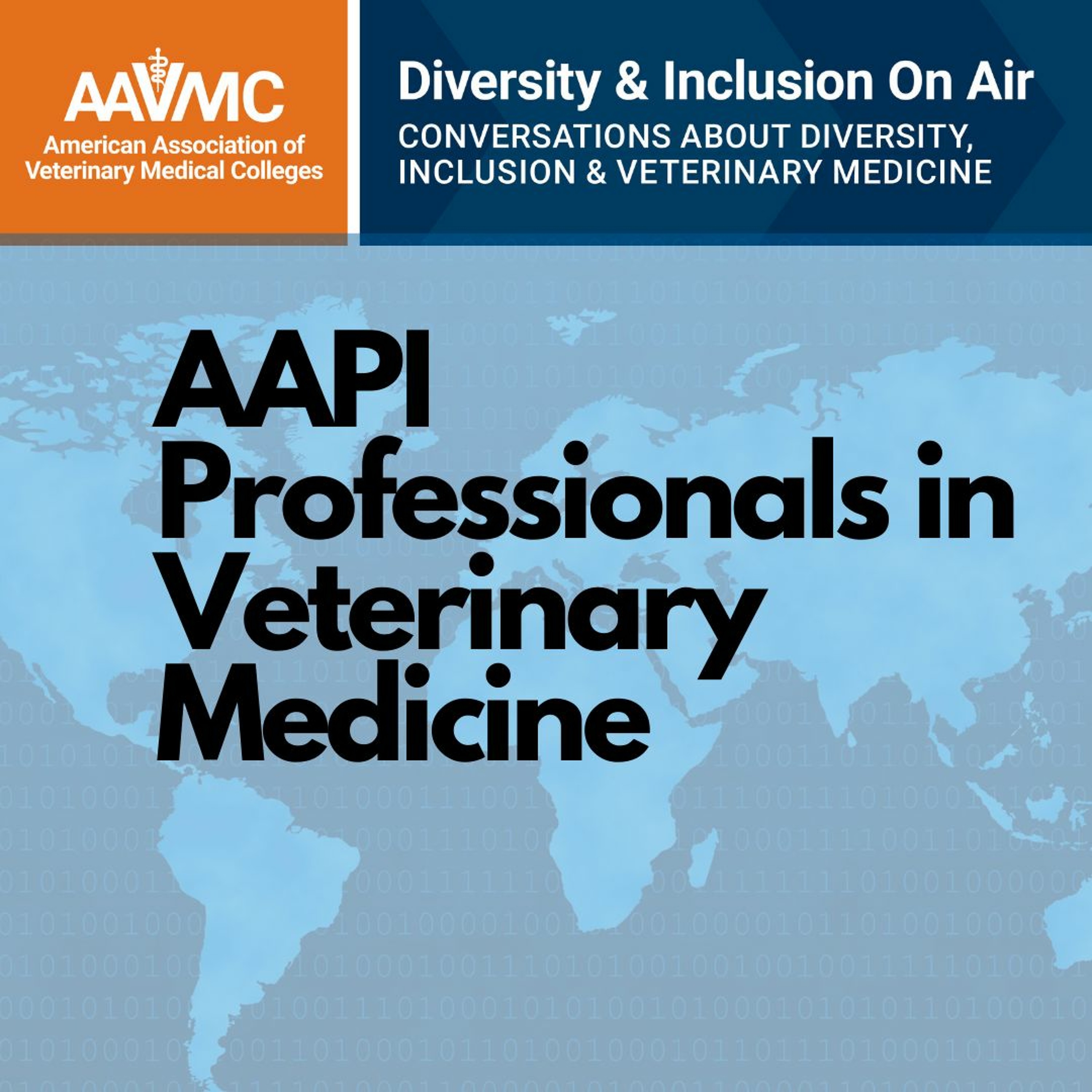 AAVMC\'s On Air: Conversations about Issues in Veterinary Medicine