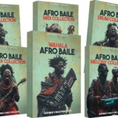 Afro Baile Funk Sample Pack - Preview