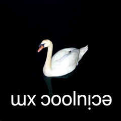 [Stardate 006] // Sunset Set