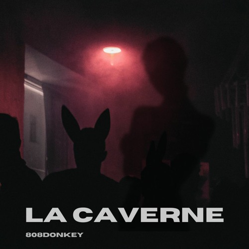 808Donkey X HA|NO - La Caverne
