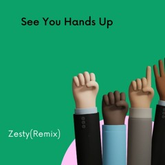 See You Hands Up(Zesty(Remix)