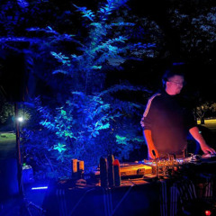 Fox (Vinyl Set) @ Fountain Green - 22 Aug 2024
