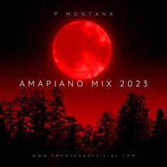 Amapiano Summer Mix 2023