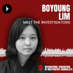 Meet the Investigators: Boyoung Lim