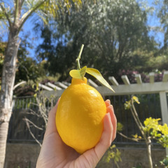 ditch (cover) - keely hsieh