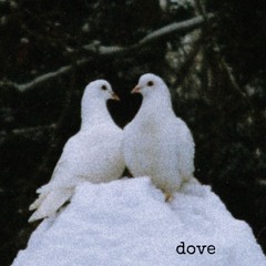dove (fumiko & envymansion)