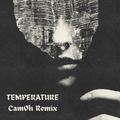 Sean Paul - Temperature (CamOh Remix)