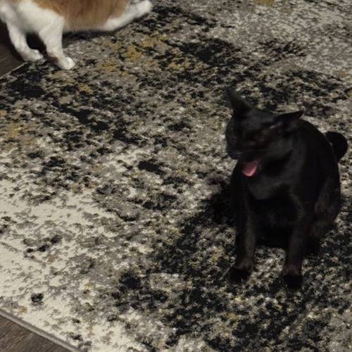 What You Wish Played At The Club