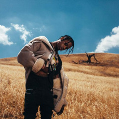 Travis Scott - OUT IN THE NIGHT (prod.apnitoi) [REMIX]