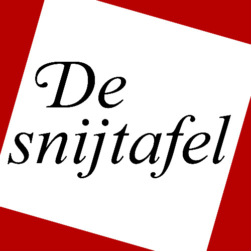 #38 Luistereditie - Kiesrecht zonder basale waarborgen en bol van bizarre definities (#82.4)