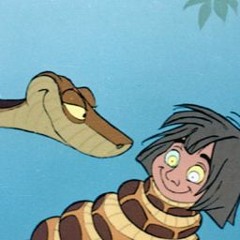 Les Copains De La Jungle