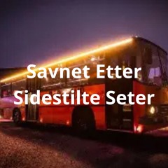 Savnet etter sidestilte seter