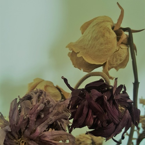 مراجيح - أمل كعوش و نانسي منير