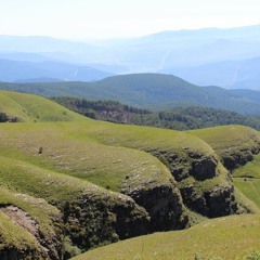 Green Green Grass of Home