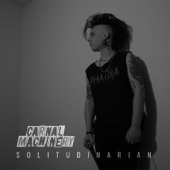 Solitudinarian