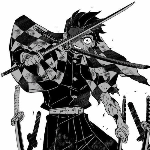 Demonslayer ( 鬼滅の刃 )