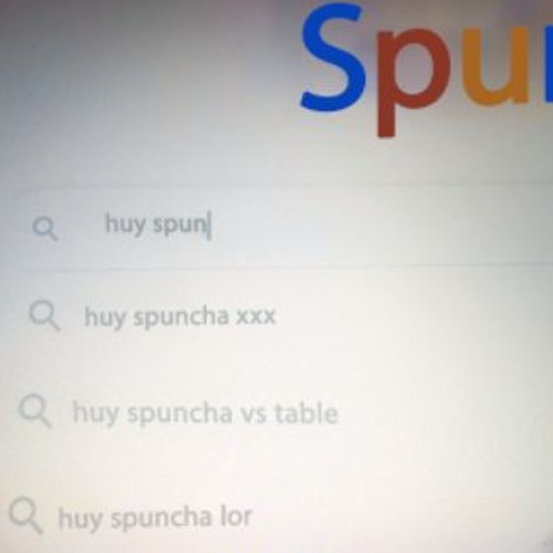 spunch2010