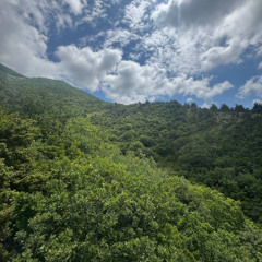 Сделали норму (prod. Alfie Snapped & warheart)