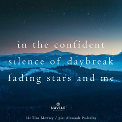 Daybreak Silence (naviarhaiku445)