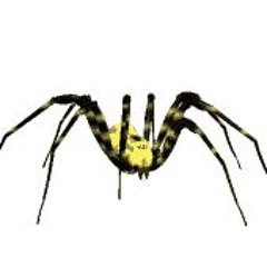 arachnid