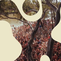 Montaña Azul - Celebrating 15 Years of Strawberry Fields Application