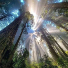 aint no stopping p. tec9beat & threeeangels