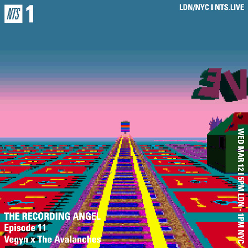 The Recording Angel on NTS - Episode 11 - Vegyn x The Avalanches - 12.03.25