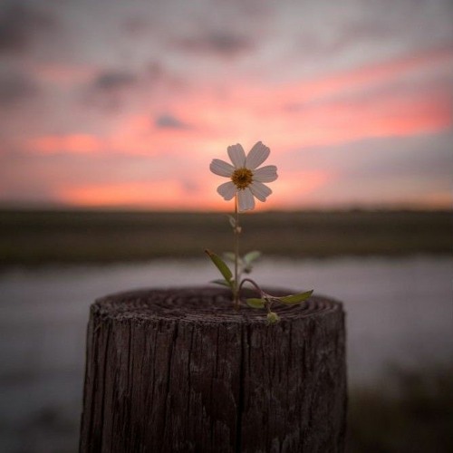 Risalah Hati Mp3 Download