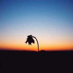 Sharingthesadness
