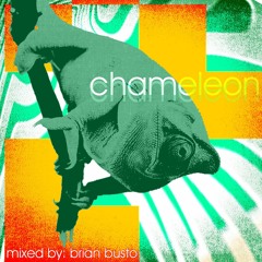 Chameleon 8-28-22