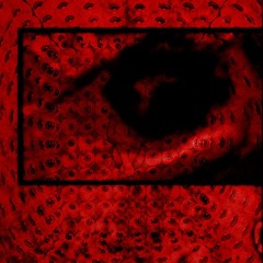 shevoided - your skin