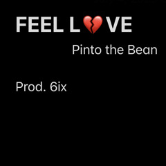 FEEL LOVE -  Pinto The Bean ( prod. 6ix )