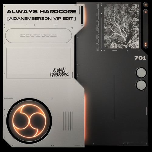 HUGO & ELROY - ALWAYS HARDCORE (AIDANEMBERSON VIP EDIT)