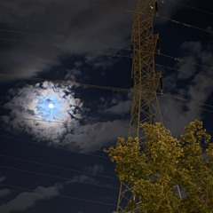 يادنيا كافي مو مليت.