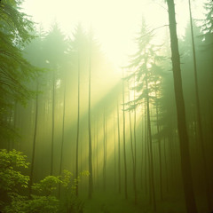 Danny Rivers - Force Of Nature