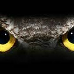 Nocturnal Revenue