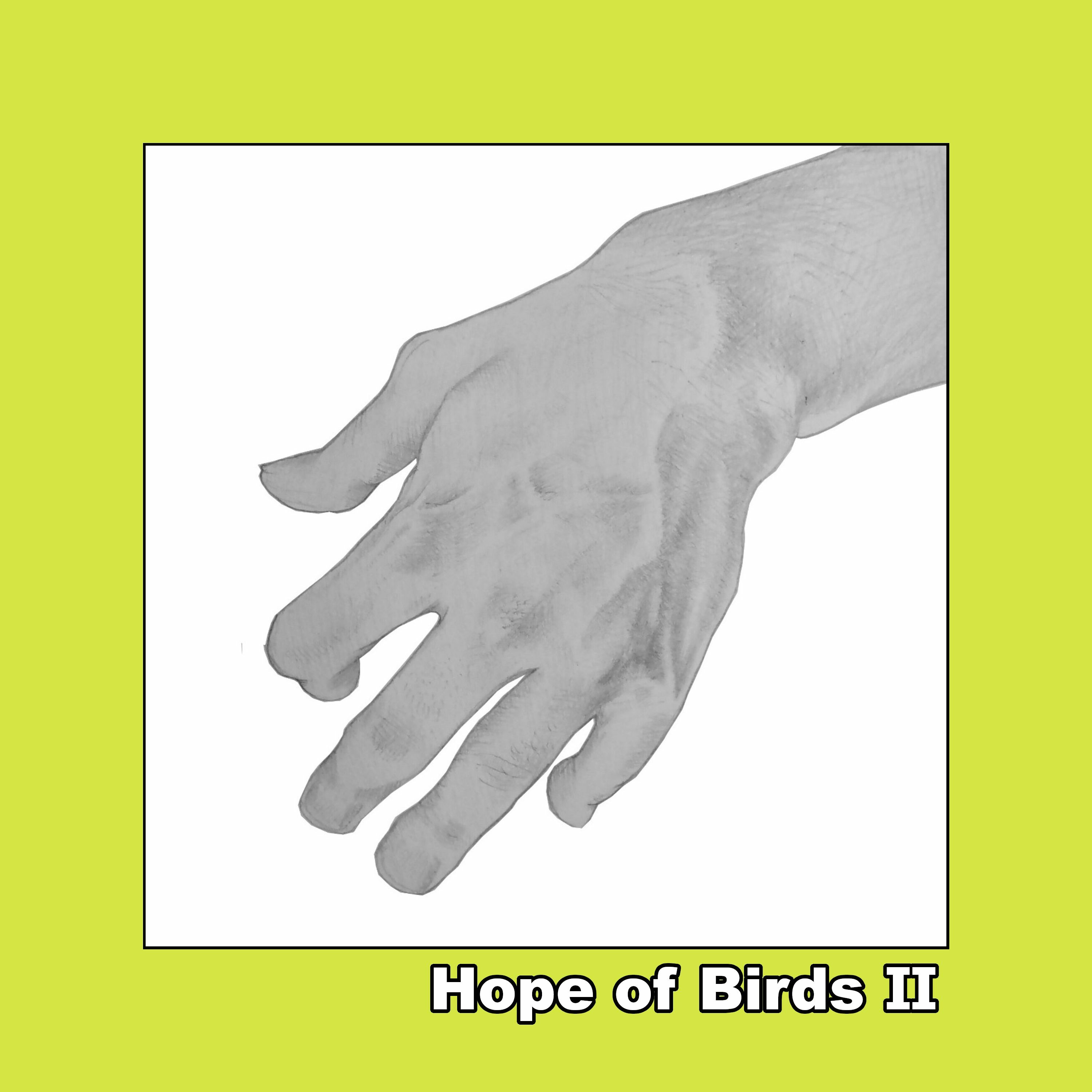 Hope of Birds Ⅱ 予告編