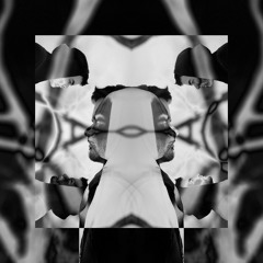 Flipped Frequencies